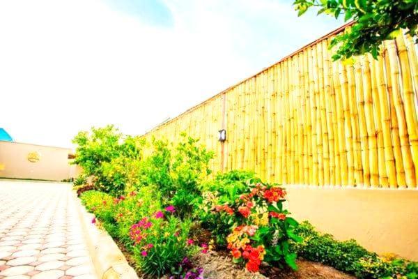 Bed and Breakfast Safi House Boma la Ngombe Exterior foto