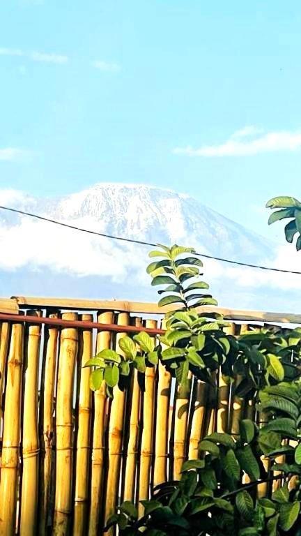 Bed and Breakfast Safi House Boma la Ngombe Exterior foto